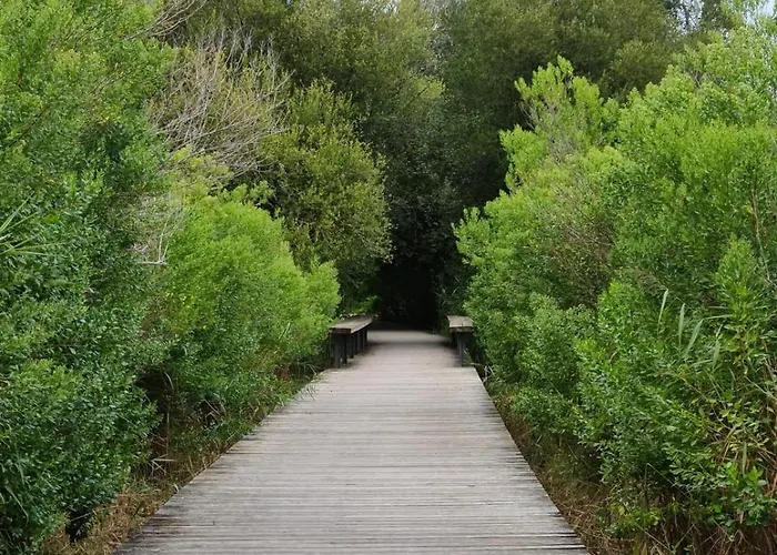 Διαμέρισμα 86m With Terrace Near The Beach!