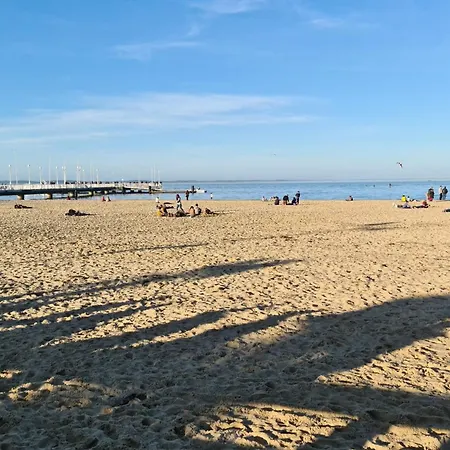 شقة 86m With Terrace Near The Beach! آركاشو